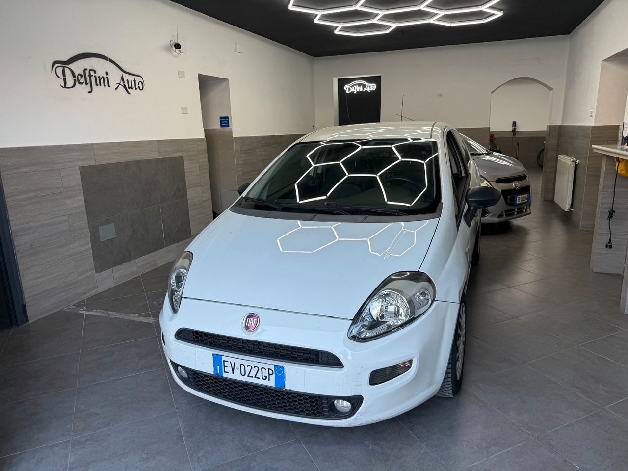 Fiat Punto 1.3 MJT 75CV 3 porte Van Pop 2 posti E5+ usata in vendita da Delfini Auto