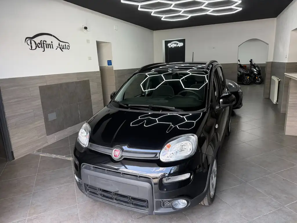 Fiat Panda usata in vendita da Delfini Auto